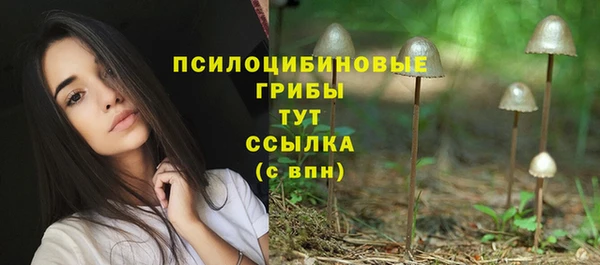 сатива Бронницы