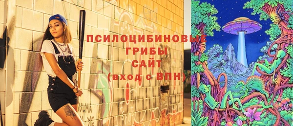 ешки Бородино