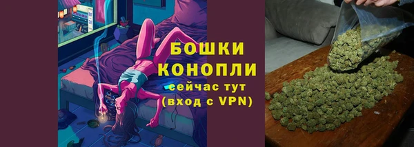 амф Богородск