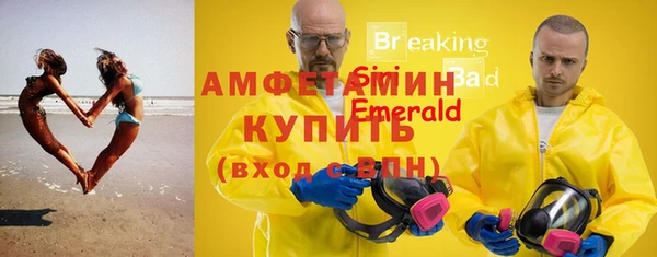 сатива Бронницы