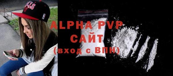 ешки Бородино
