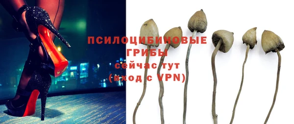 амф Богородск