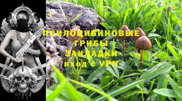 амф Богородск