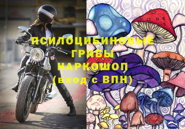 амф Богородск