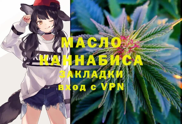 ешки Бородино