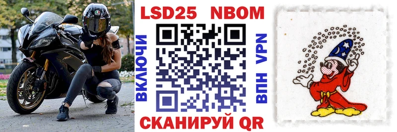 Купить закладки  Петровск-Забайкальский  Наркотические марки 1,5мг 