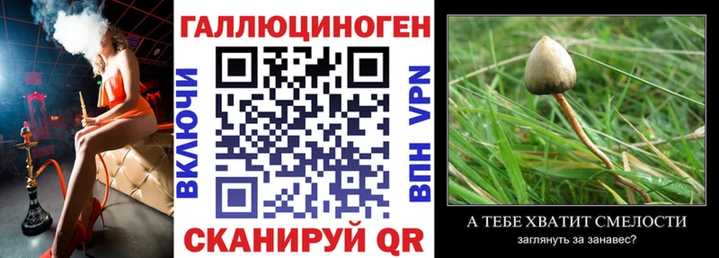 Купить закладки  Петровск-Забайкальский  Псилоцибиновые грибы прущие грибы 