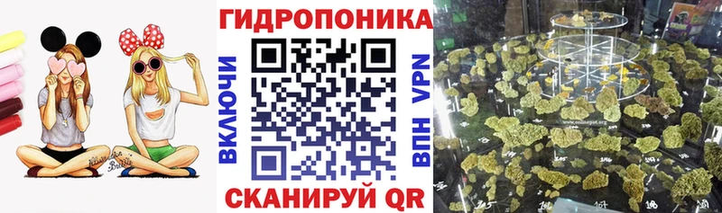 Бошки Шишки марихуана  Купить  Петровск-Забайкальский 